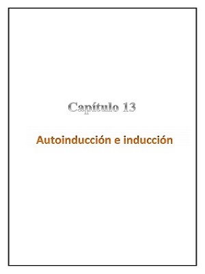Capítulo 13 - Autoinducción e inducción mutua
